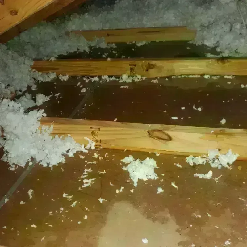 Attic Water Damage in Cherokee, IA